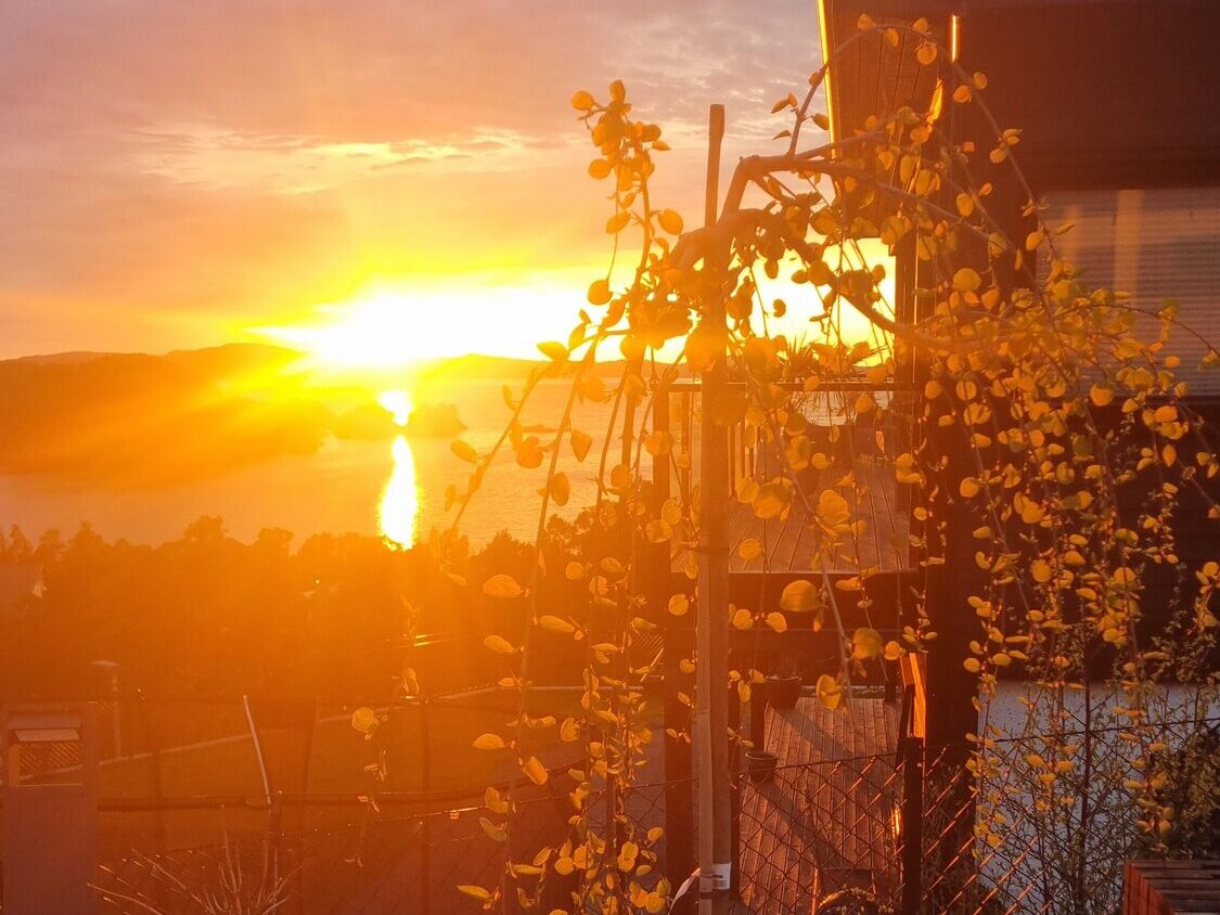 Kveldssol gjennom hjertetreet i hagen, med solnedgang og fjorden i bakgrunnen