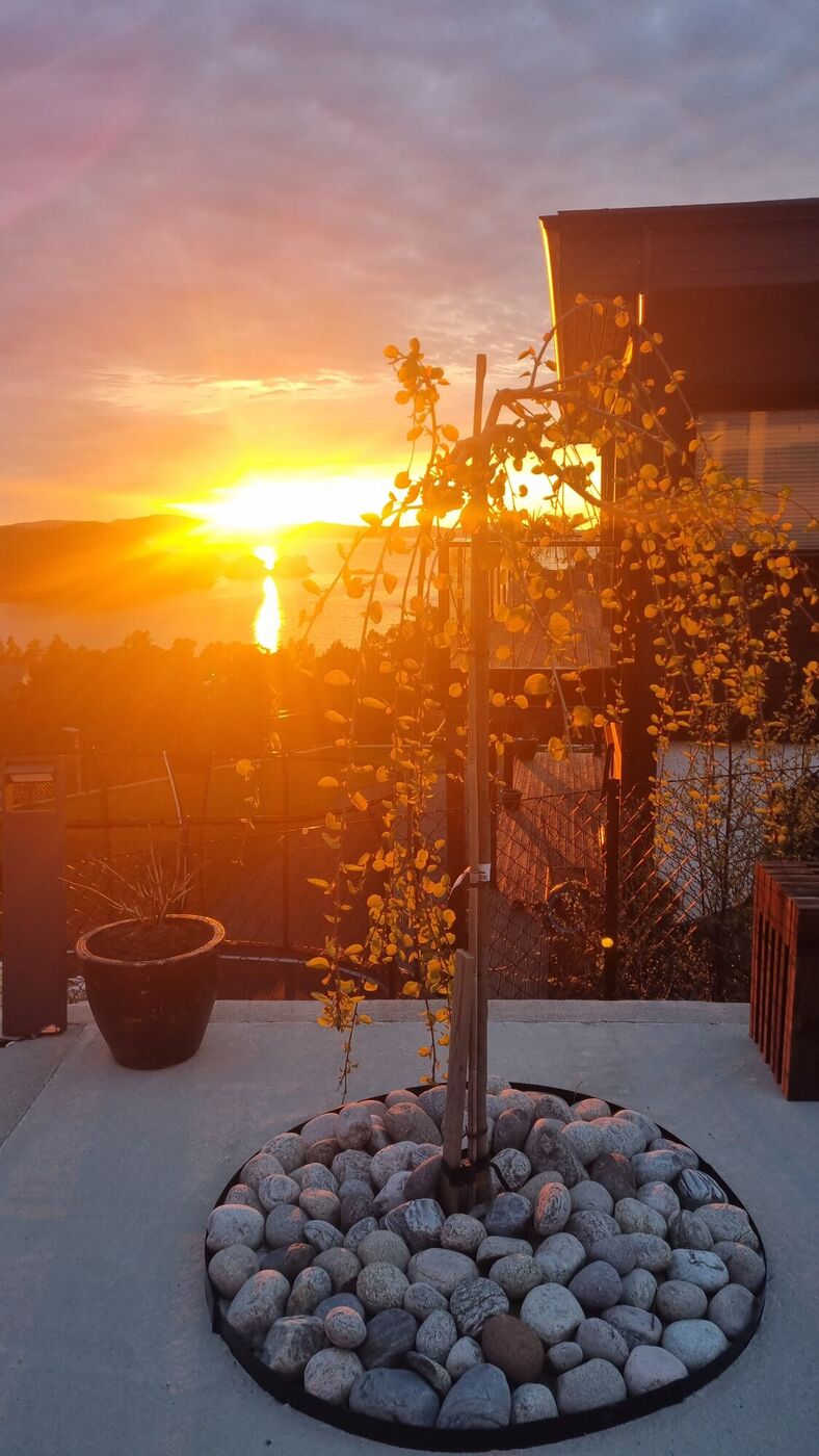 Kveldssol på takterrassen med beplantning og utsikt
